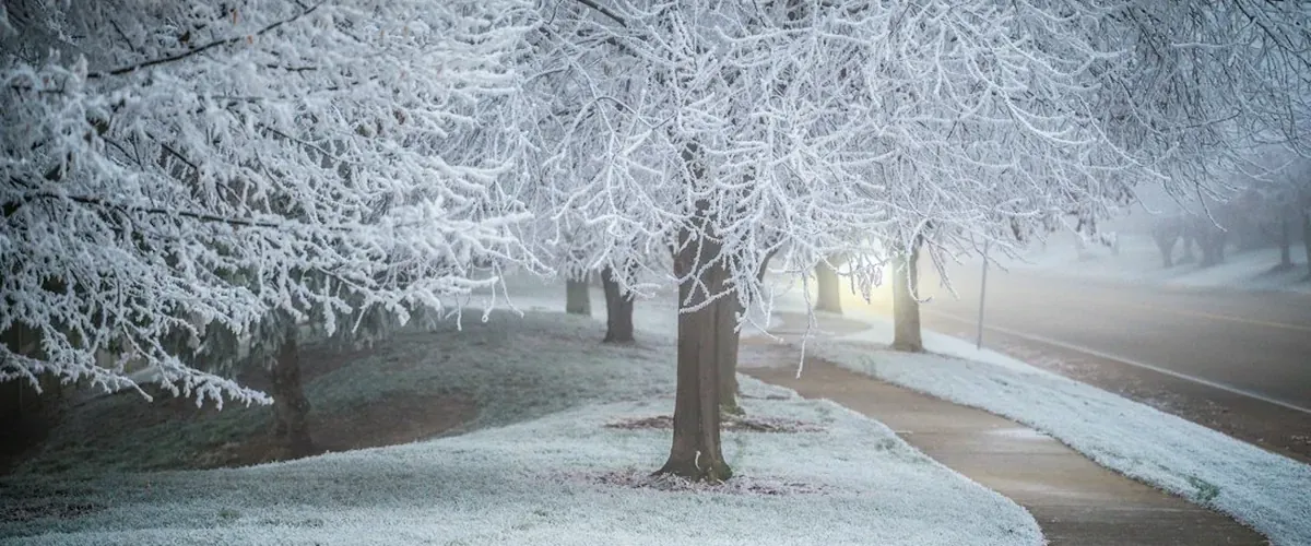 Slipped on Ice in Sioux Falls? Who Is Liable for Snow and Ice Falls