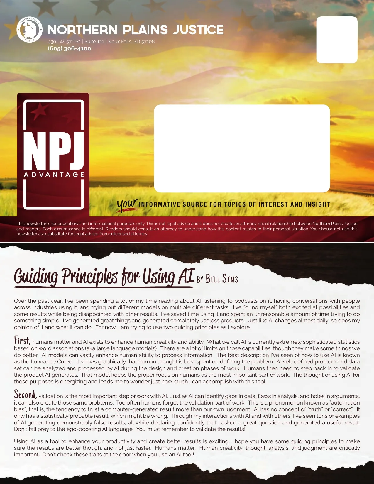 Guiding Principles for Using AI