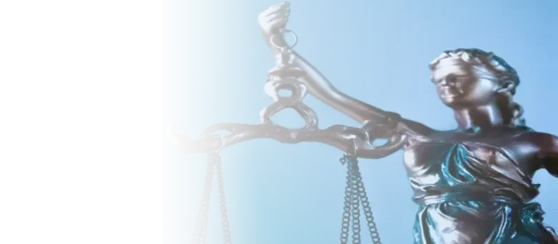 Business Litigation