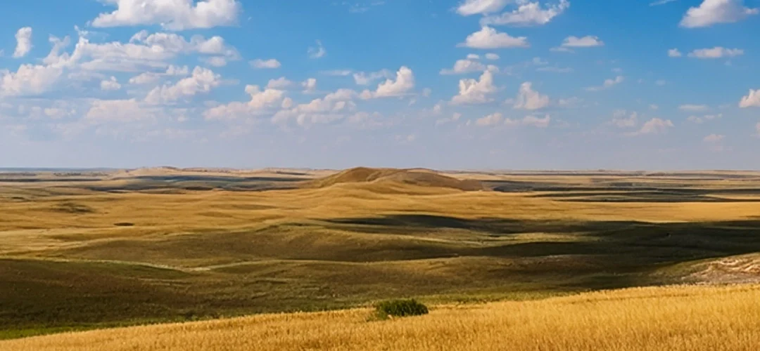 Injured in a South Dakota Car Accident? Here’s What to Do