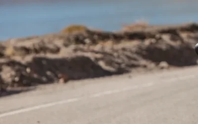 Your Legal Rights After a Motorcycle Accident in Sioux Falls